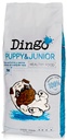 Dingo Puppy&Junior