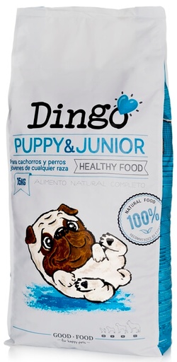 Dingo Puppy & Junior
